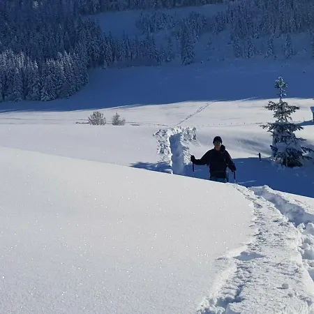 Ferienwohnung Im Kuhlen Allgaeu Missen-Wilhams Esterno foto